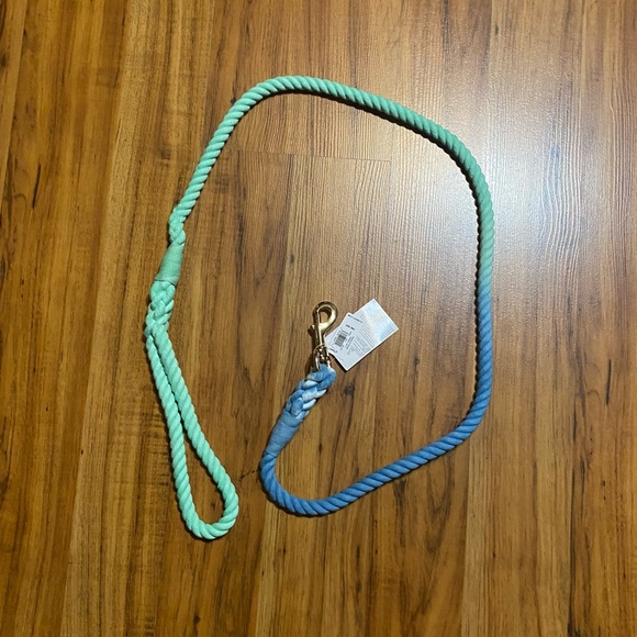 Old Navy Other - Old Navy Braided Rope Dog Leash Mint/Teal Ombre (New)